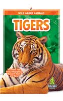 Tigers
