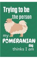 Trying to be the person my Pomeranian Dog thinks I am