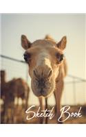 Sketch Book: Camel Photo Themed Notebook for Drawing, Doodling, Sketching, Painting, Calligraphy or Writing
