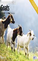 GOATS WALL CALENDAR 2020