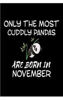 Only The Most Cuddly Pandas Are Born In November