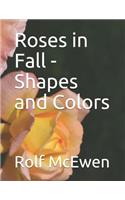 Roses in Fall - Shapes and Colors