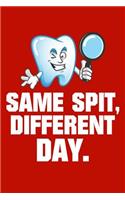 Same Spit, Different Day
