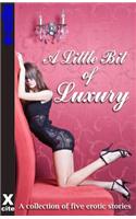 A Little Bit of Luxury