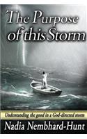 Purpose of This Storm: Understanding the good in a God-directed storm