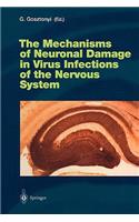 The Mechanisms of Neuronal Damage in Virus Infections of the Nervous System