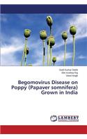 Begomovirus Disease on Poppy (Papaver somnifera) Grown in India