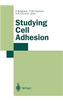 Studying Cell Adhesion