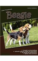 Unser Traumhund: Beagle