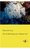 Über die Bedeckungen der wirbellosen Tiere