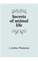 Secrets of Animal Life