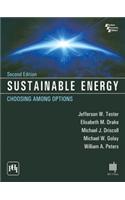 Sustainable Energy Choosing Among Options