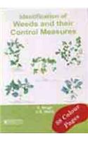 Identification of Weeds and Their Control Measures