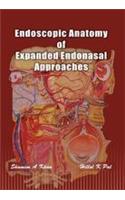 Endoscopic Anatomy Of Expanded Endonasal Approaches