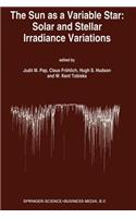 Sun as a Variable Star: Solar and Stellar Irradiance Variations