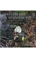 A Poem of Wild Orchids