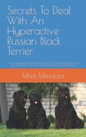 Secrets To Deal With An Hyperactive Russian Black Terrier