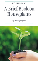 Houseplant