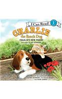 Charlie the Ranch Dog: Charlie's New Friend: (I Can Read Level 1)
