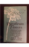 Pyrethrum Flowers