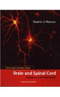 Form and Function in the Brain and Spinal Cord: Perspectives of a Neurologist