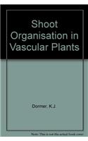 Shoot organization in vascular plants