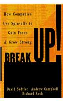 BREAKUP: How Companies Use Spin-Offs to Gain Focus and Grow Strong