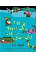 Tortoise, Tree Snake, Gator, and Sea Snake: What Is a Reptile?