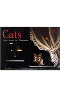 Cats Postcard Book: 30 Purrrfect Postcards(Gift Line)