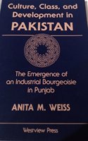 Culture, Class, and Development in Pakistan: The Emergence of an Industrial Bourgeoisie in Punjab