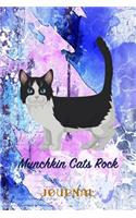 Munchkin Cats Rock