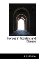 Horses in Accident and Disease