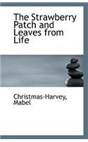 The Strawberry Patch and Leaves from Life