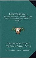 Bakterierne