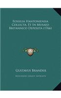Fossilia Hantoniensia Collecta, Et in Musaeo Britannico Deposita (1766)