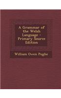 A Grammar of the Welsh Language - Primary Source Edition