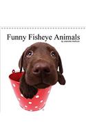 Funny Fisheye Animals 2018