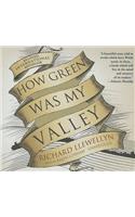 How Green Was My Valley