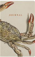 Natural Histories Journal: Crab