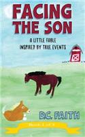 Facing the Son