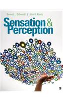 Sensation and Perception