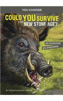 Could You Survive the New Stone Age?: An Interactive Prehistoric Adventure