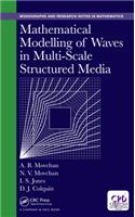 Mathematical Modelling of Waves in Multi-Scale Structured Media
