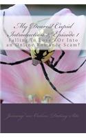 My Dearest Cupid -Introduction & Episode 1: Falling in Love -or into an online romance scam?(1 Joining an Online Dating Site)