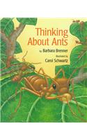 Thinking about Ants