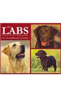 Just Labs Full Color Daily Calendar