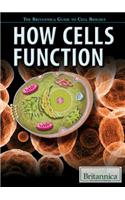 How Cells Function