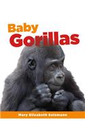 Baby Gorillas