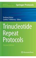 Trinucleotide Repeat Protocols: (1010 Methods in Molecular Biology)