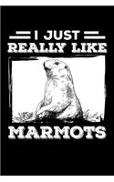 I Just Really Like Marmots